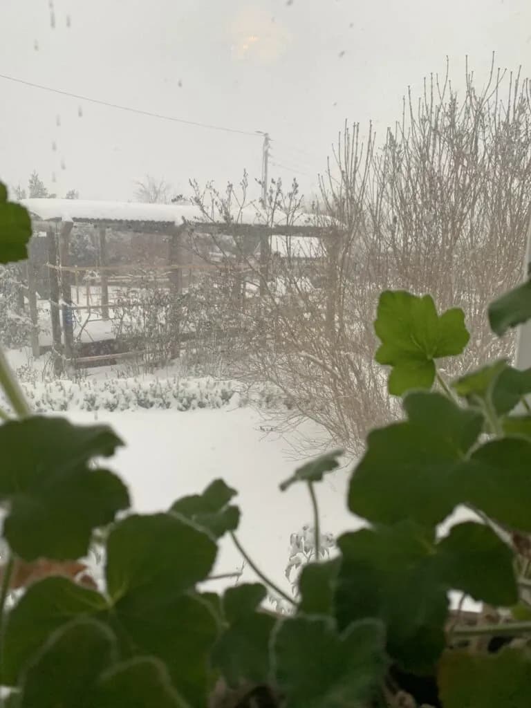 Vår