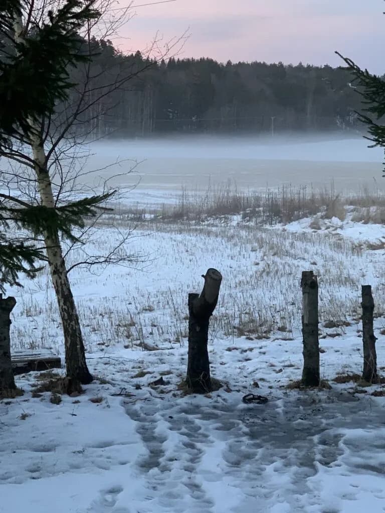 Vår