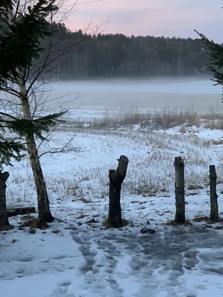 Novembertåka
