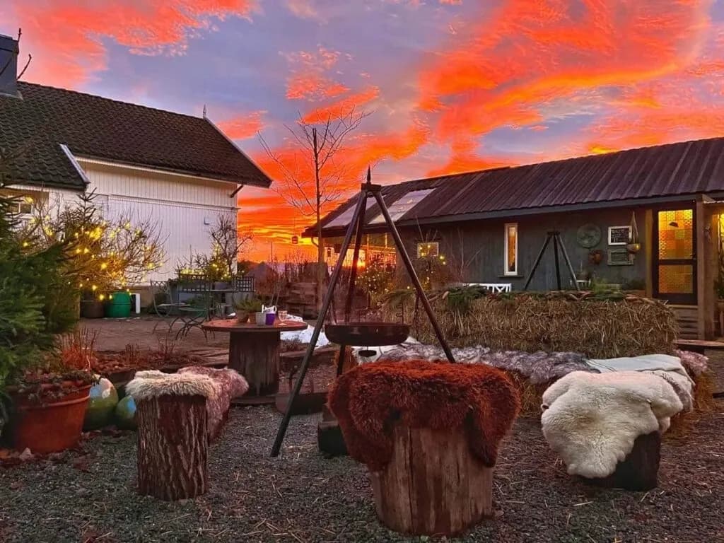 Novembertåka