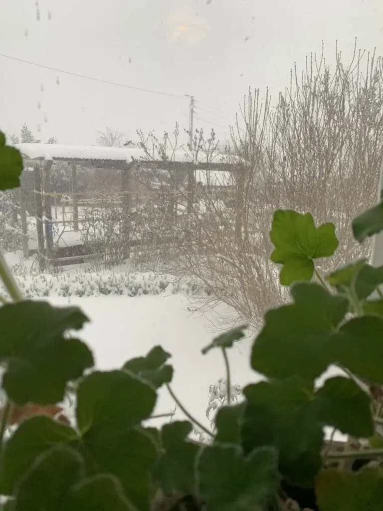 Novembertåka