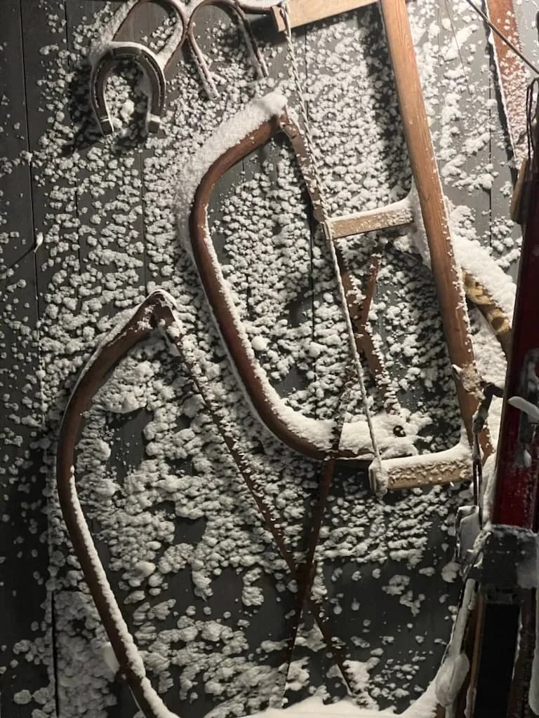 Vinterhvile