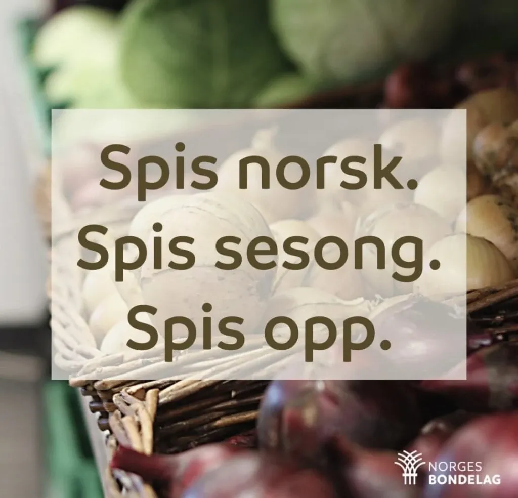 Spis norsk