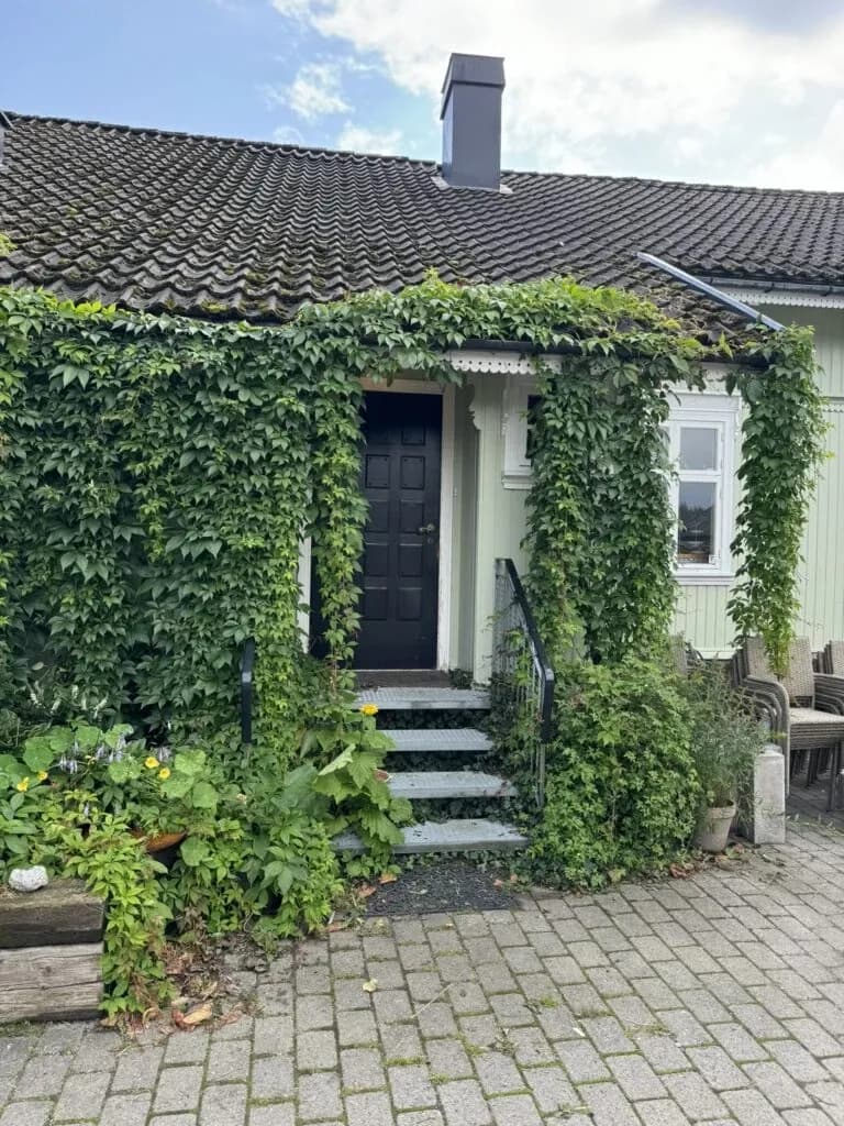Hageminner