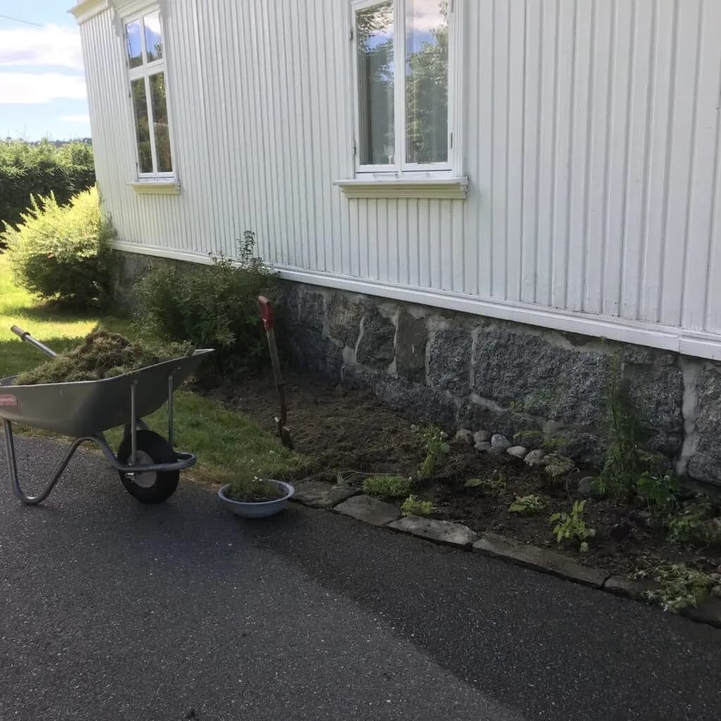 Det første året