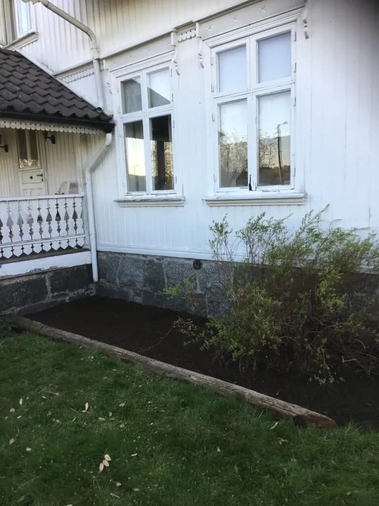 Det første året