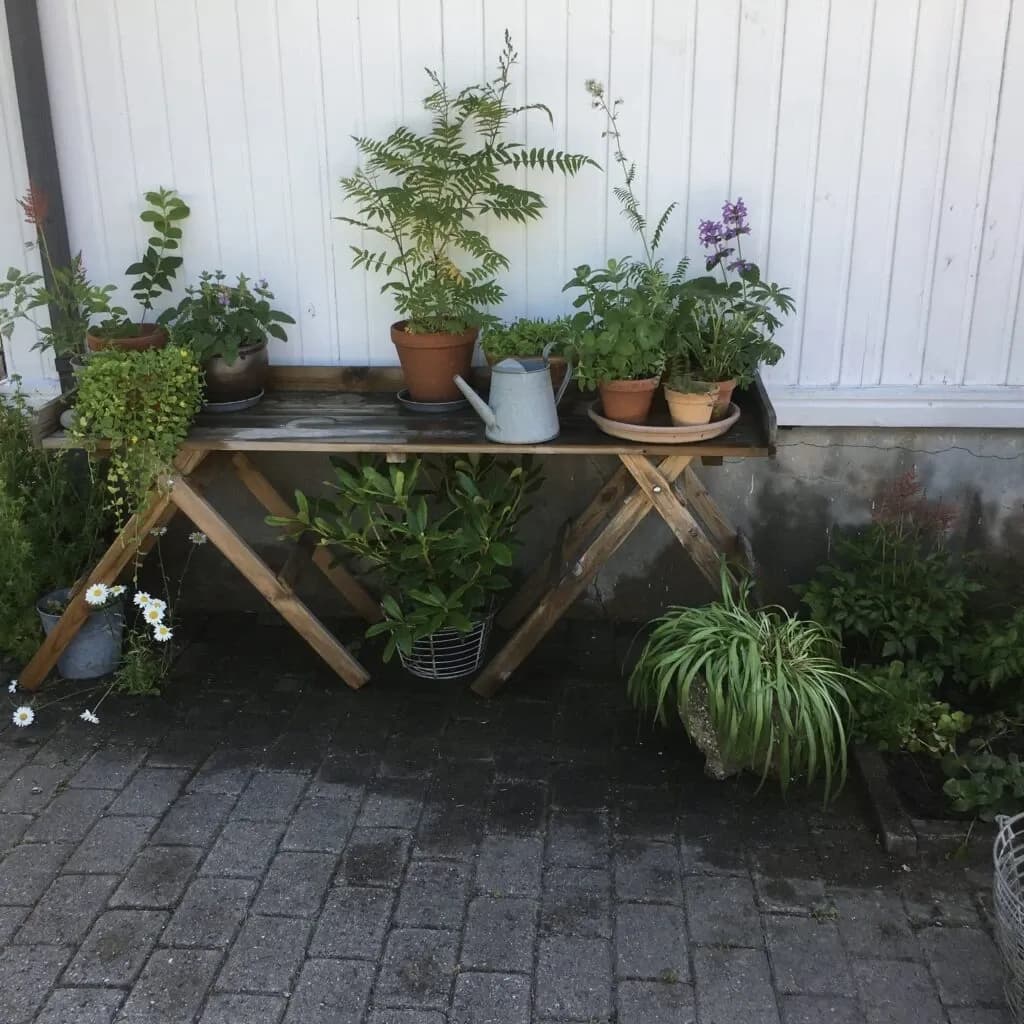 Det første året