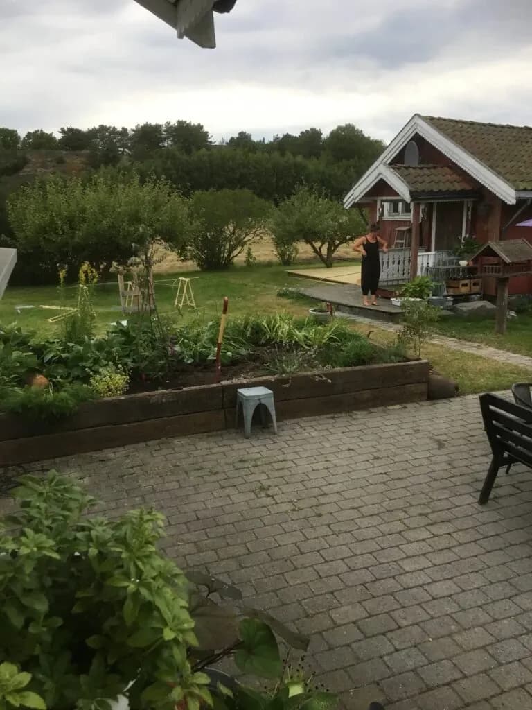 Det første året