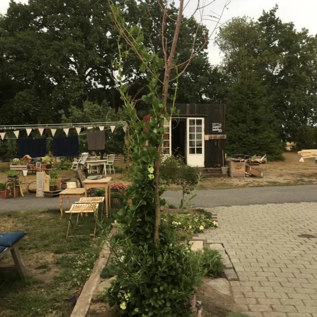 Det første året