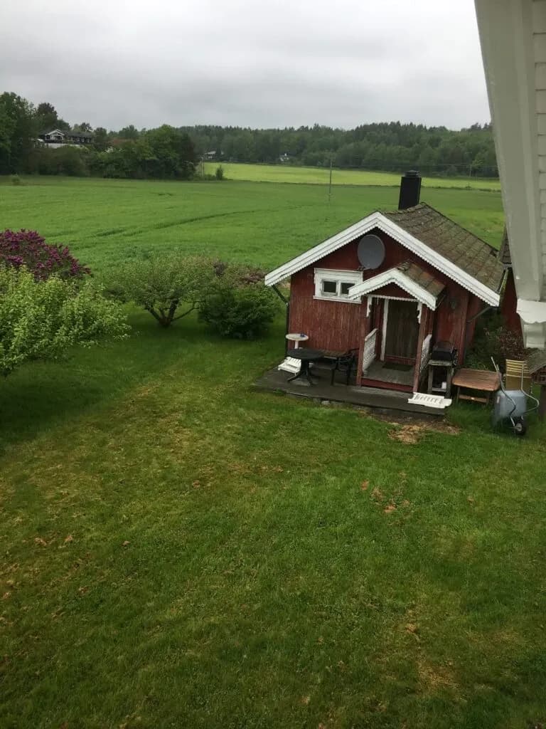 Det første året