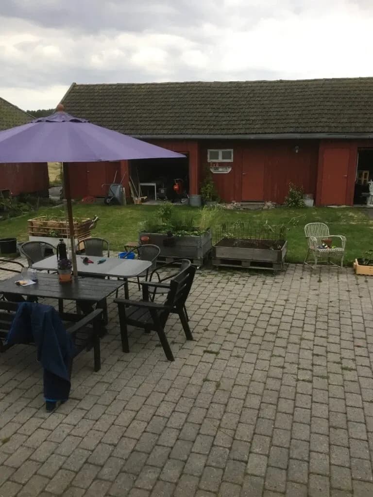 Det første året