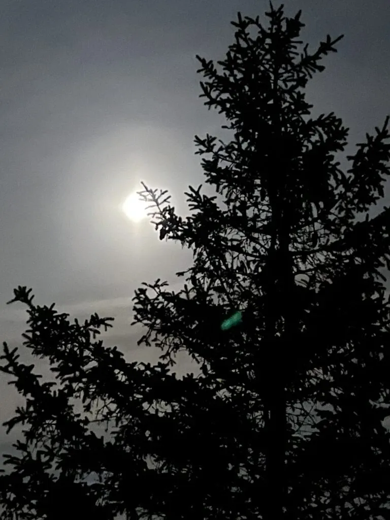 Novembertåka